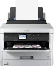 Epson WorkForce Pro WF-C5210DW Driver